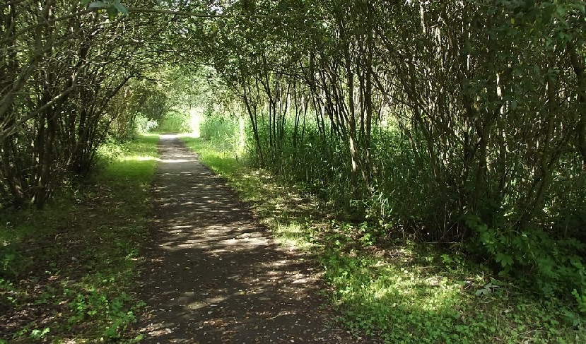 Wild Banbury